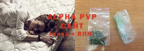 спиды Белокуриха