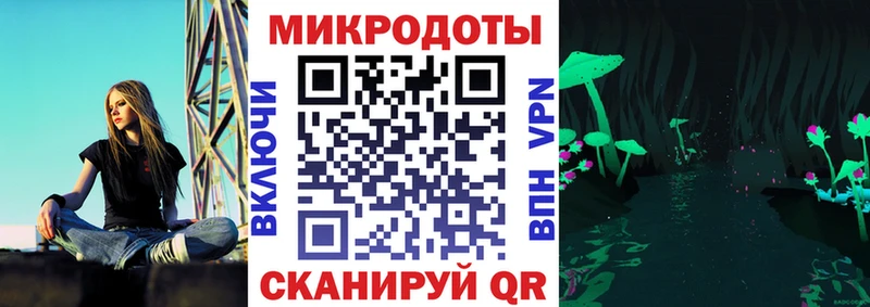 закладки  Онега  Галлюциногенные грибы Psilocybine cubensis 
