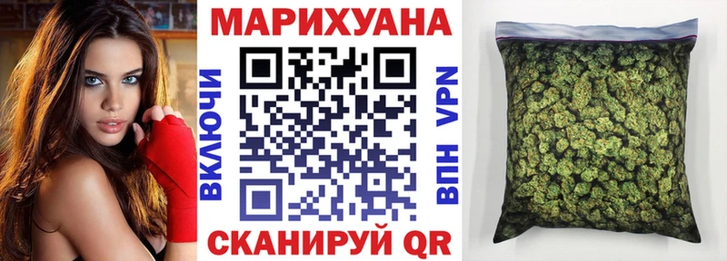 Канабис OG Kush  Онега 
